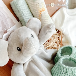May include: A baby gift set with a gray elephant plush toy, green knitted booties, a white onesie, and a green and white patterned towel.