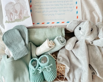 Elephant New Baby Gift Set, Safari Theme, Snuggle Box, Eco Friendly, Newborn Baby Hamper