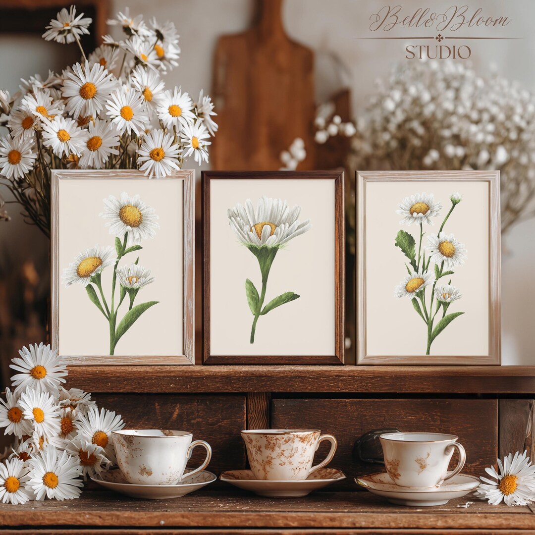 Botanical Daisy Wall Art Set of 4, Neutral Floral Prints, Vintage Style ...