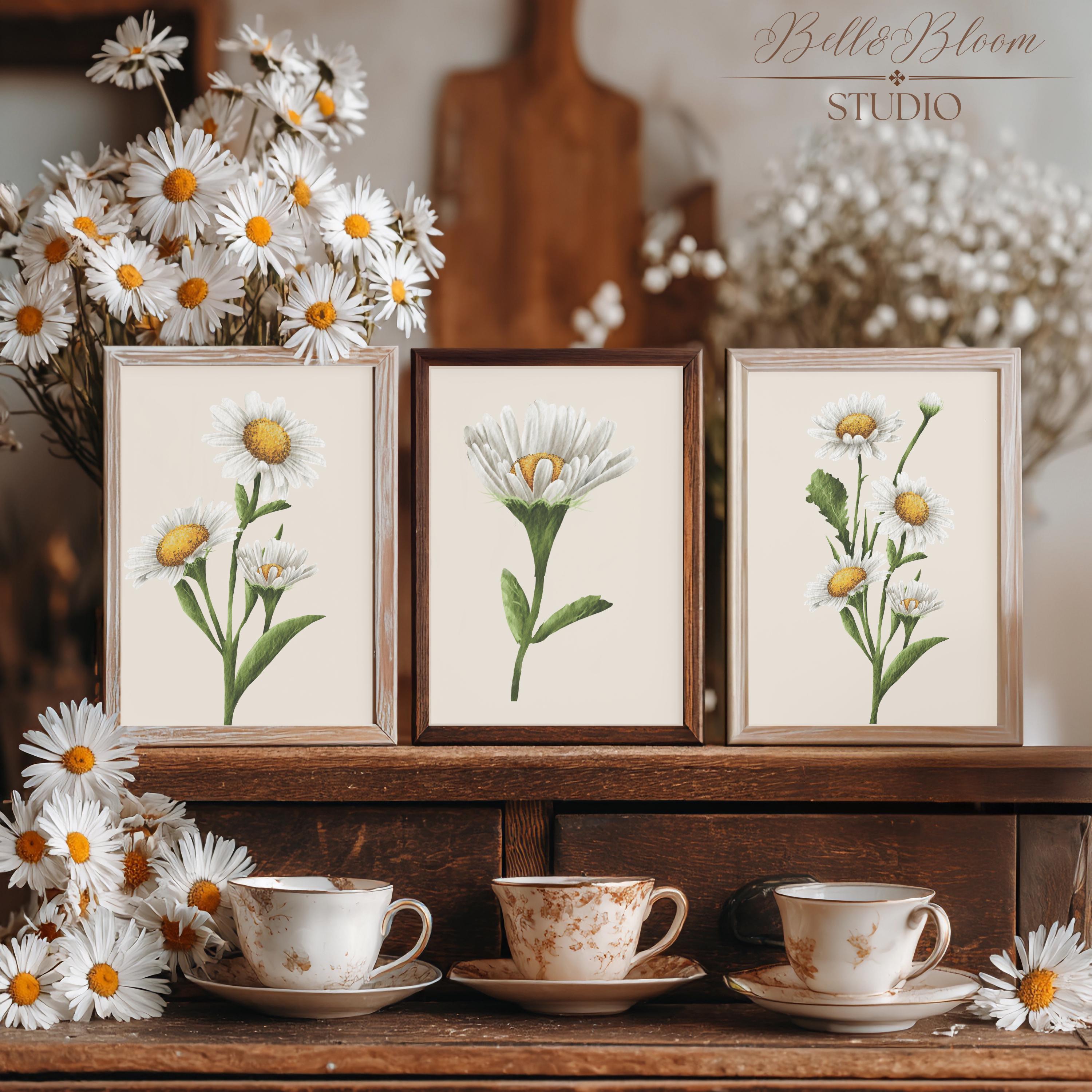 Botanical Daisy Wall Art Set of 4, Neutral Floral Prints, Vintage Style ...