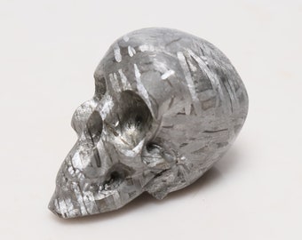 61G Muonionalusta Meteorite Skull: Hand Carved Part Slice D4936