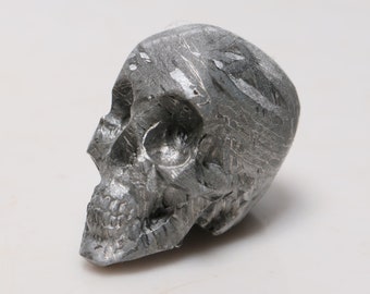 66G Muonionalusta Meteorite Skull: Hand Carved Part Slice D4851