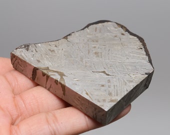 Muonionalusta meteorite part slice D4896