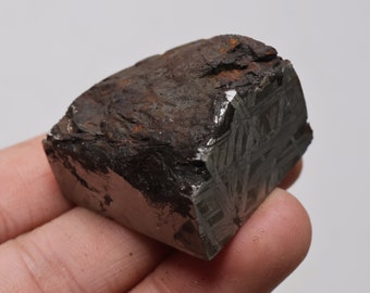 Muonionalusta meteorite part slice D5310