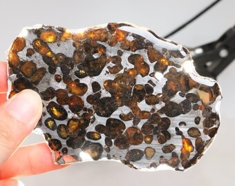 Beautiful SERICHO pallasite Meteorite slice - from Kenya D4865