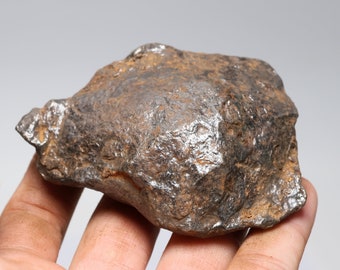 ゲベル・カミル隕石 - 鉄隕石 - 隕石岩 - エジプト産 - 92グラム