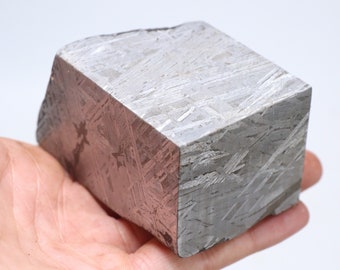 Muonionalusta meteorite part slice D4523