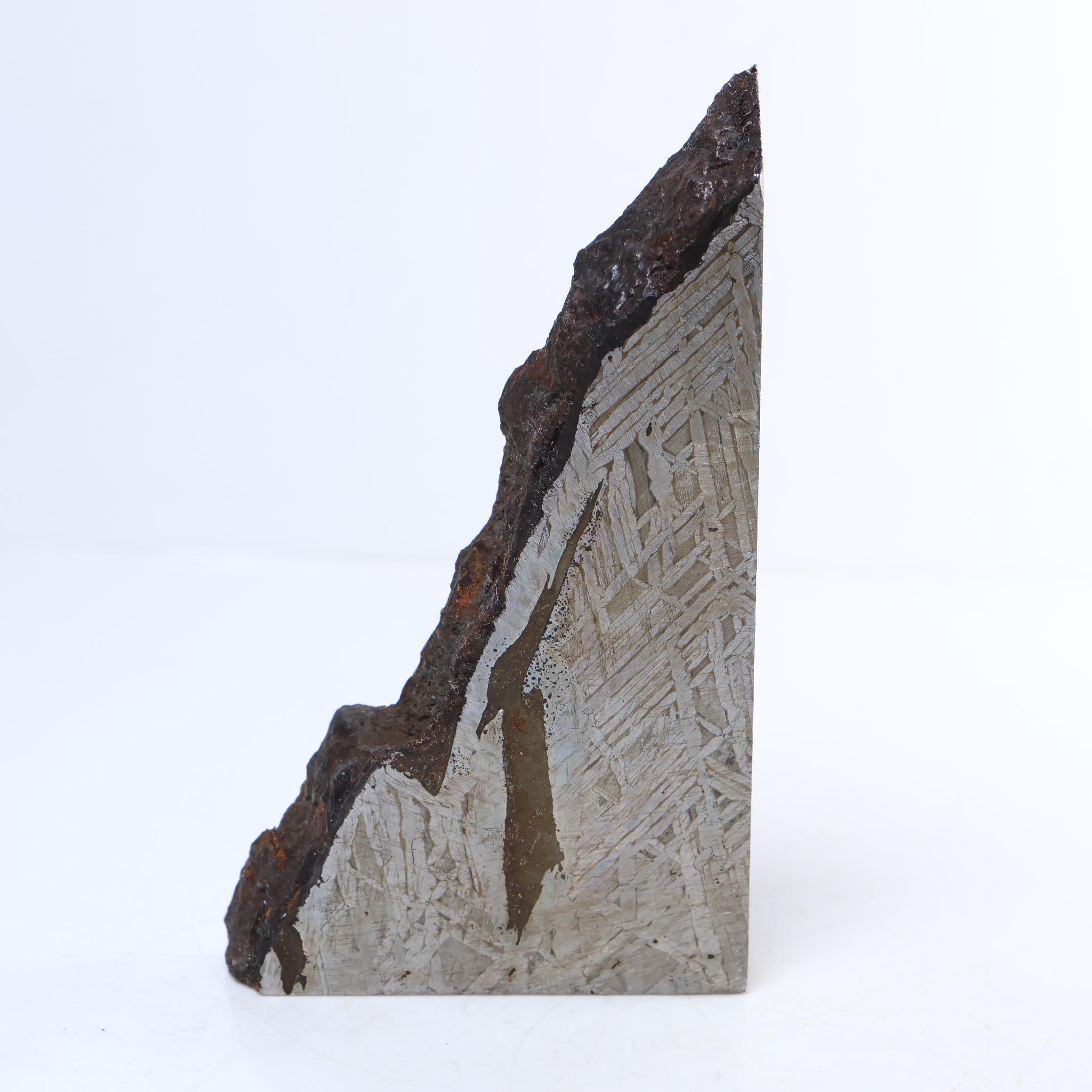 206g 鉄隕石標本、宇宙ギフト、天文学コレクターズアイテム D7121