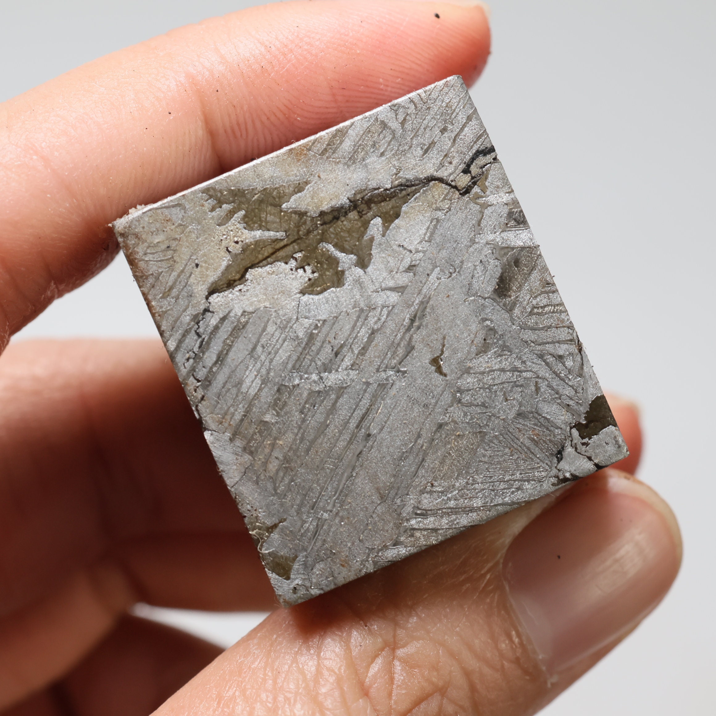 ムオニオナルスタ隕石部分スライス D5157 - Etsy 日本