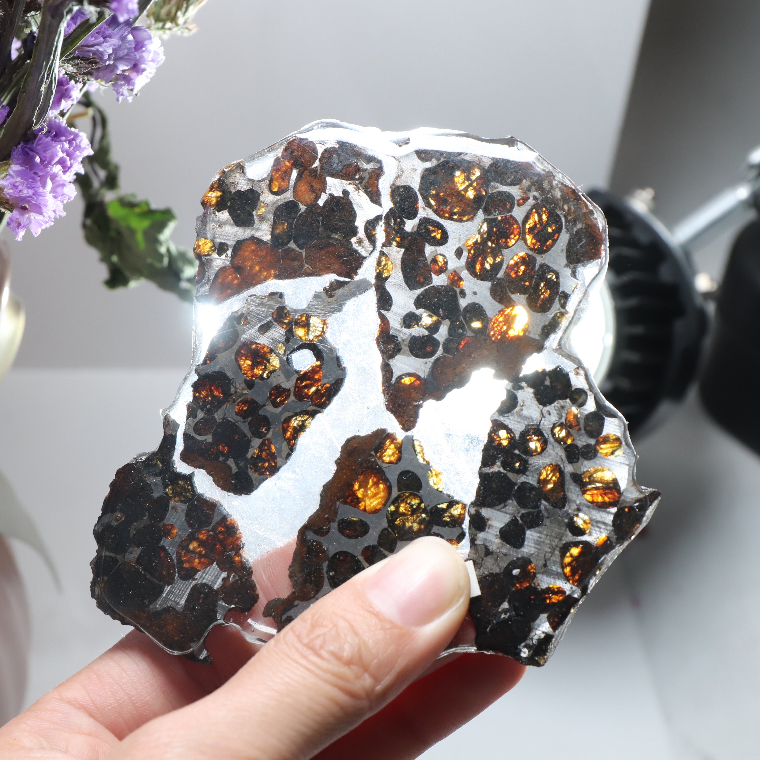pallasite meteorite pallasite meteorite