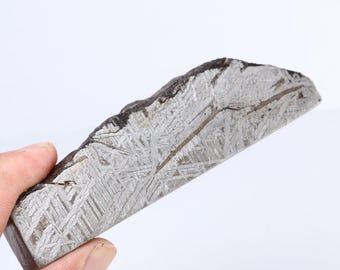 ムオニオナルスタ隕石ボール、天然鉄彫刻（23 x 21 mm、46g）D6902