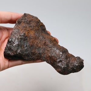 Muonionalusta meteorite part slice D4844
