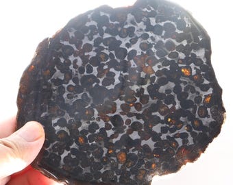 163 g pallasite-meteorietschijfje: Sericho Keniaanse olivijnijzer D6960