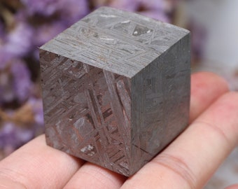 Muonionalusta meteorite part slice D4442