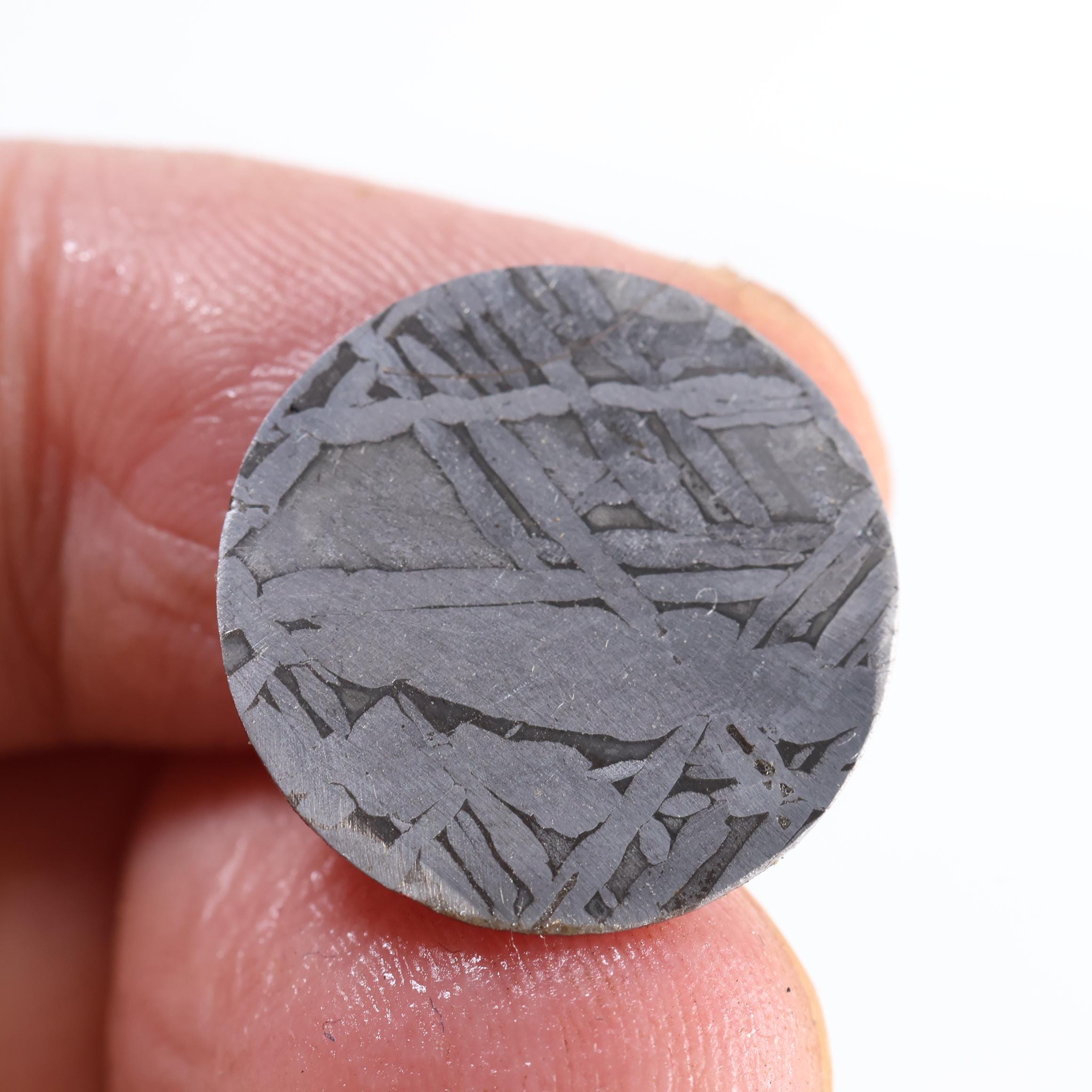 ムオニオナラスタ 隕石ウォッチ 文字盤 19 mm 円形スライス D6937