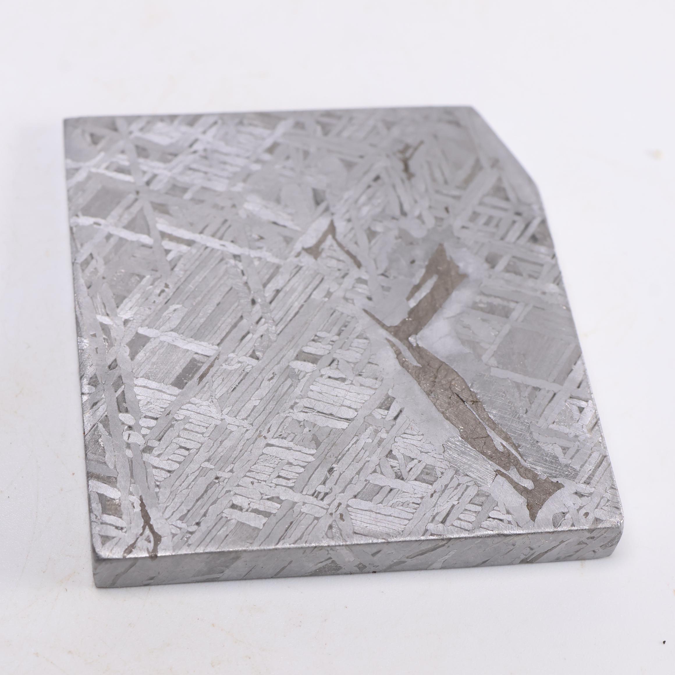 ムオニオナルスタ隕石スライス、125g宇宙鉄標本、天文学ギフト D6684