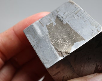 ムオニオナルスタ隕石部分スライス D5641 - Etsy 日本