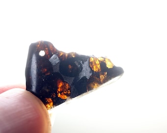 Meteorietplak Sericho Pallasite: Keniaanse meteorietgift D6924