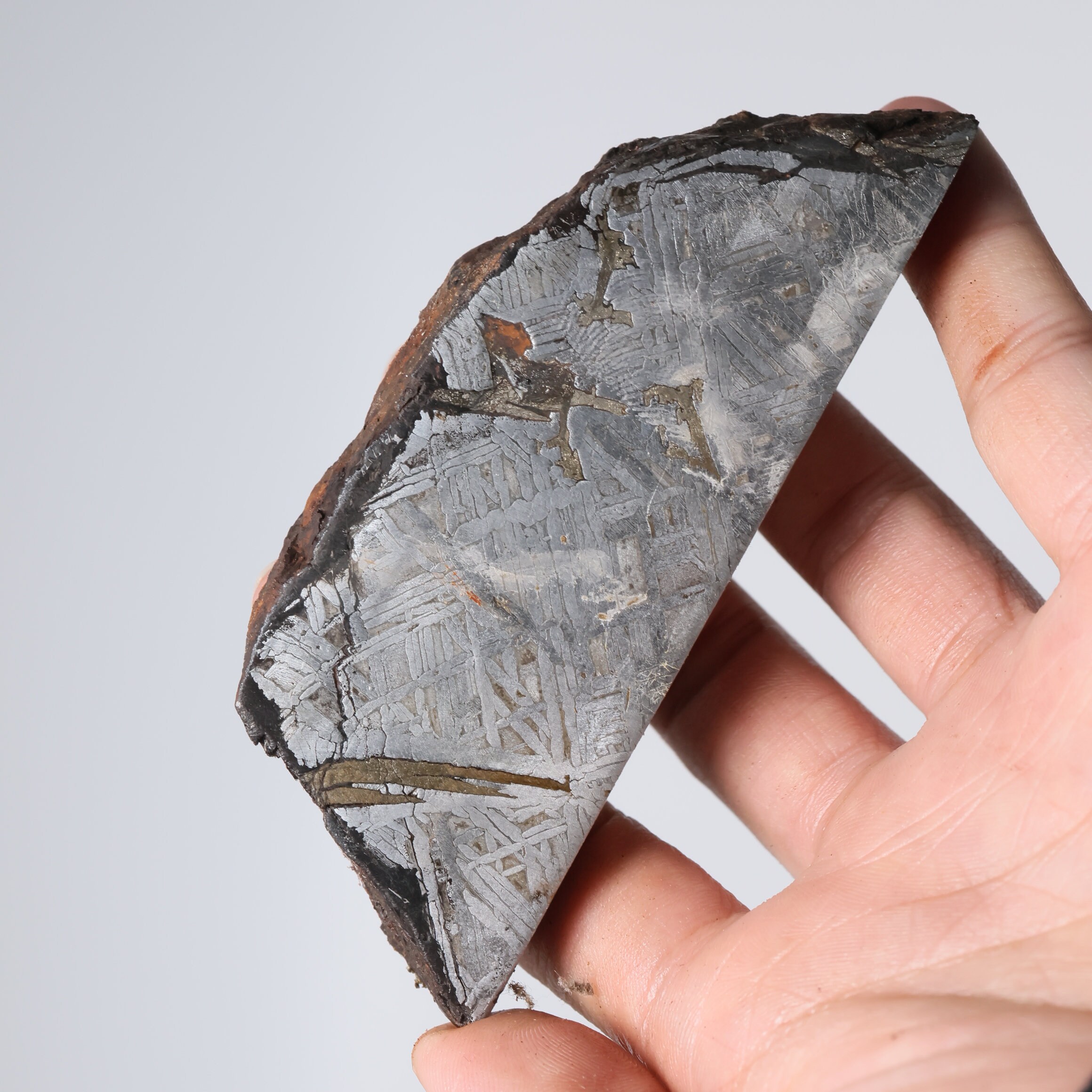 265g ムオニオナルスタ隕石部分スライス D5216 - Etsy 日本