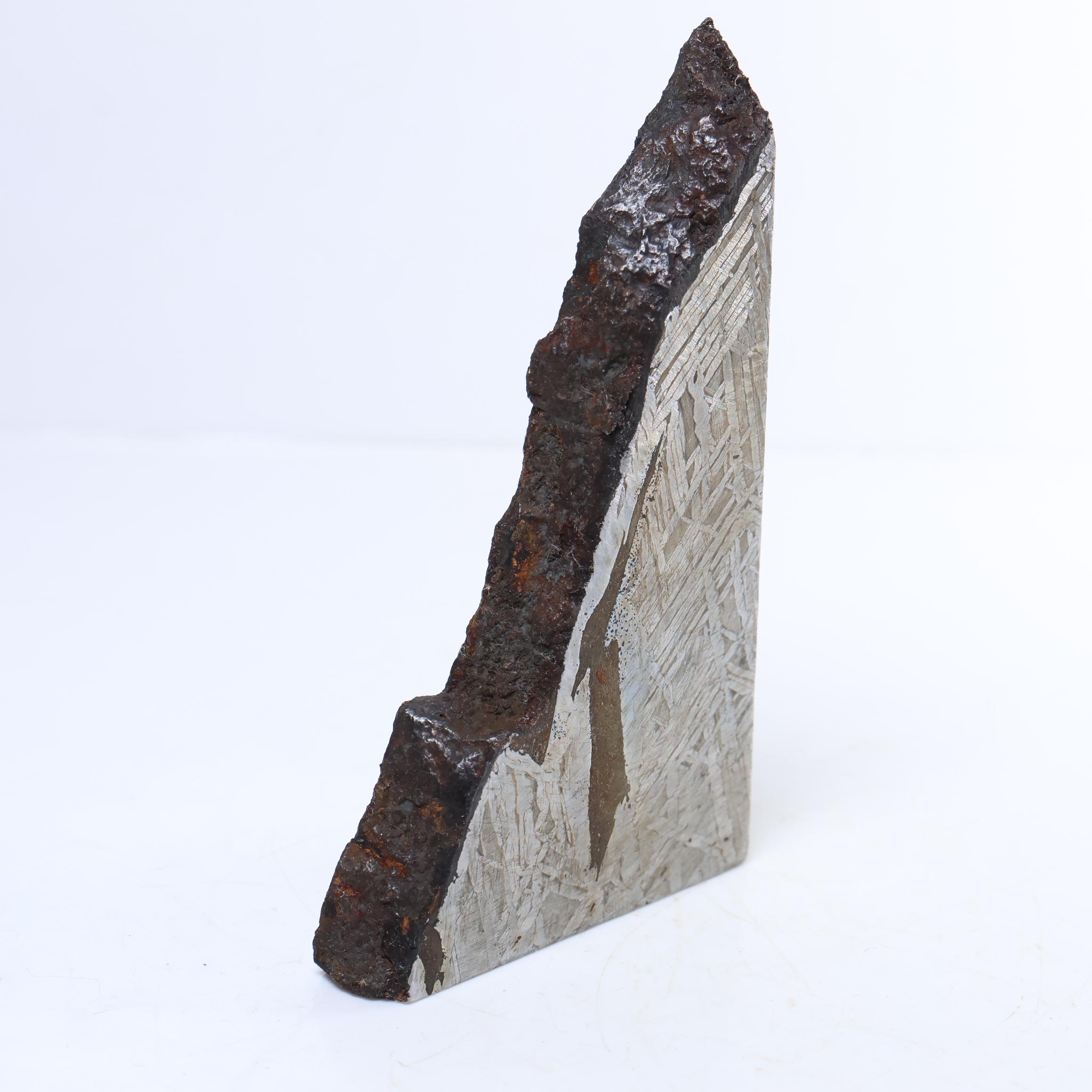 206g 鉄隕石標本、宇宙ギフト、天文学コレクターズアイテム D7121