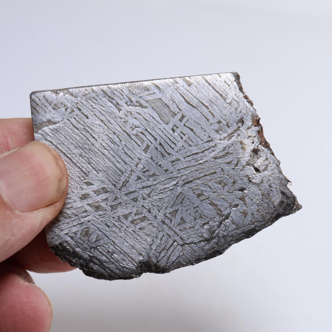 ムオニオナルスタ隕石標本、127g スペース アイアン ギフト D6844