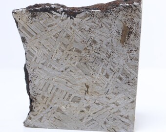 119g ムオニオナルスタ鉄隕石標本: 天然ウェステンデン パターン