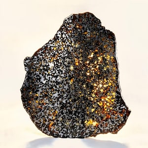 Puede incluir: Una rebanada de meteorito pallasita con una matriz metálica oscura de hierro y níquel incrustada con cristales de olivino translúcidos de color amarillo dorado. El espécimen muestra una estructura de panal con cristales de varios tamaños.