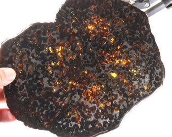 Plakje pallasietmeteoriet, 322 g Keniaanse meteorietplak, uit Kenia Sericho, meteorietcadeaus, D6651