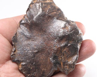 ゲベル カミル 鉄隕石 289g 隕石破片 D6627 - Etsy 日本