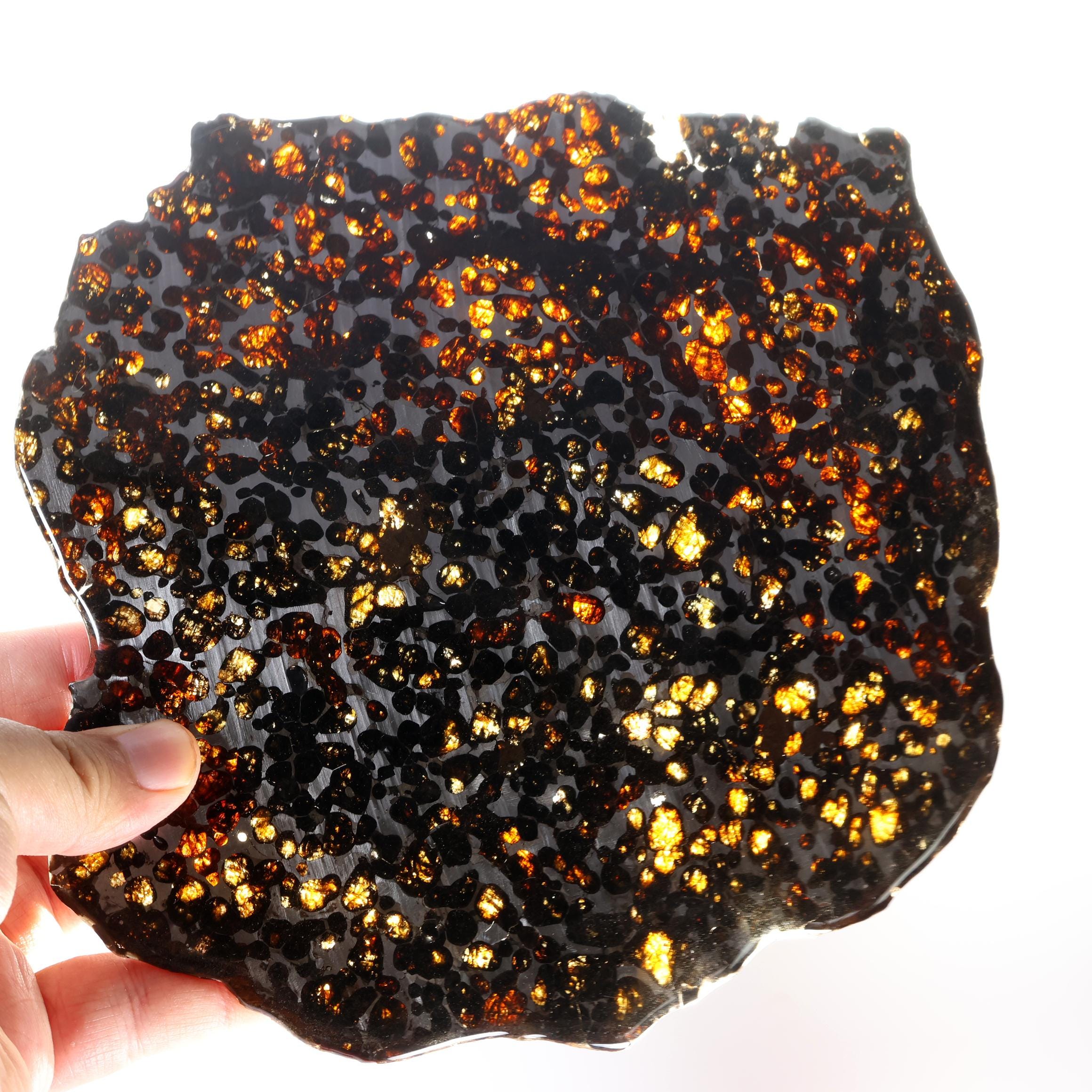Pallasite-meteorietschijf: Keniaanse Sericho-meteoriet, 282 g D6957