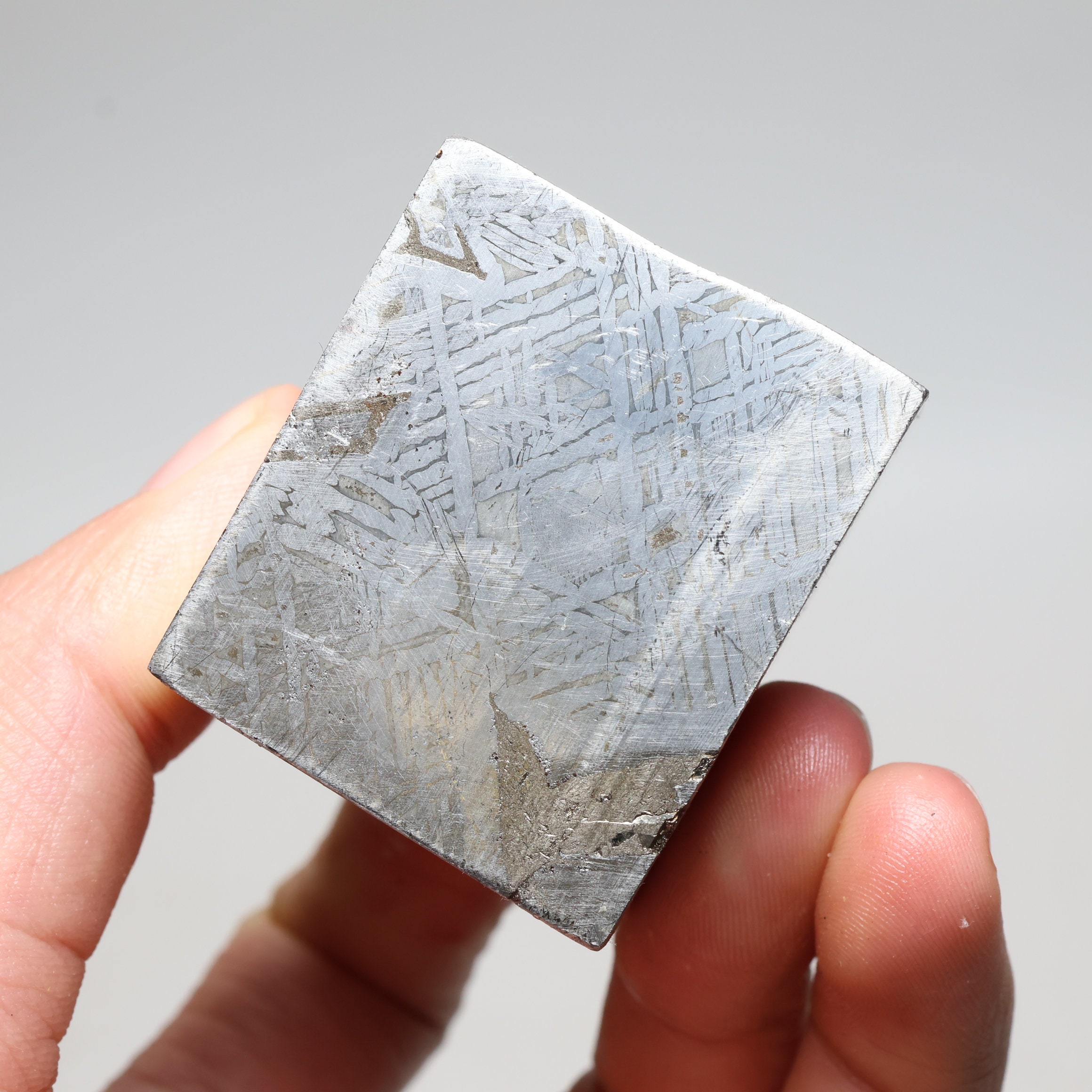 ムオニオナルスタ隕石部分スライス D5641 - Etsy 日本