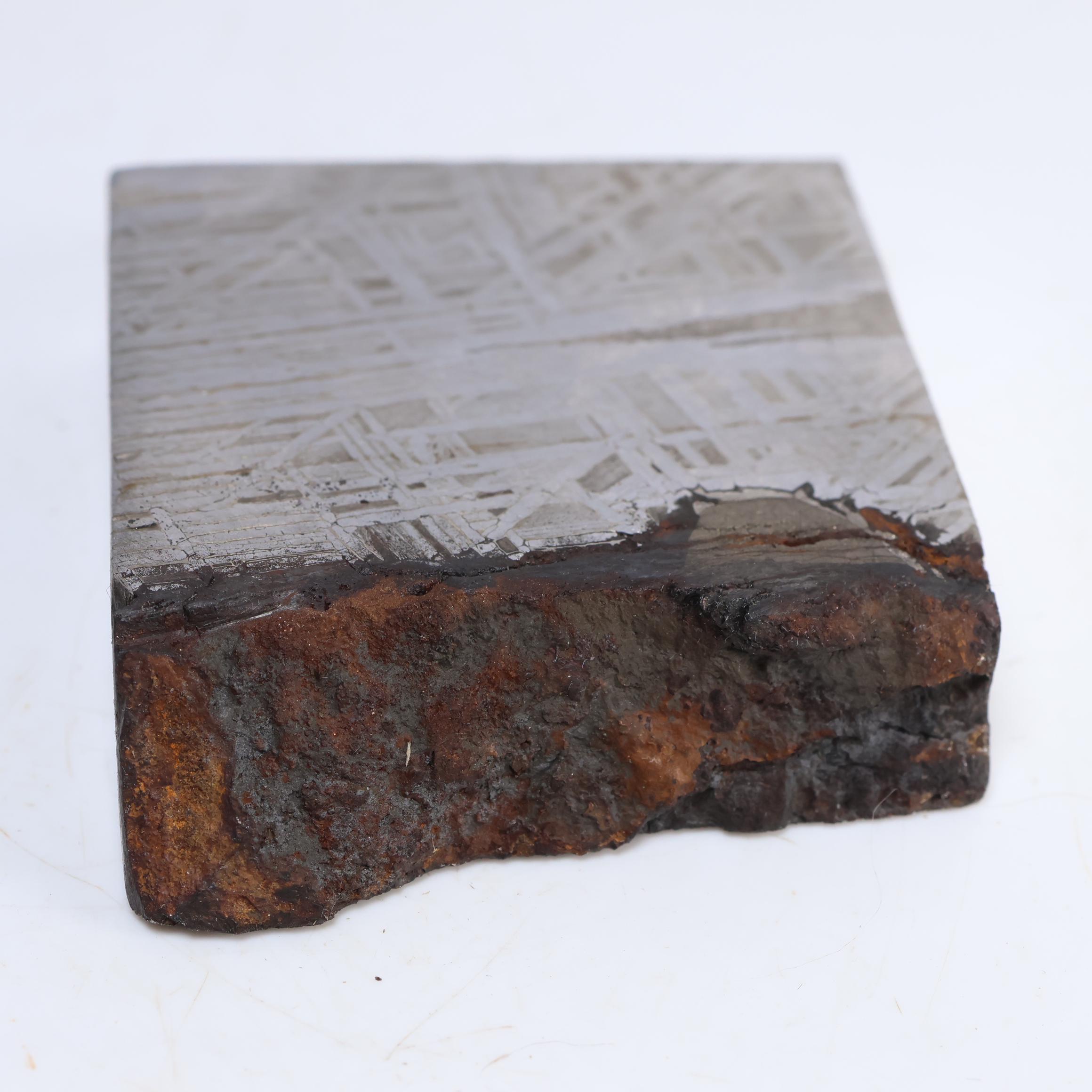 ムオニオナルスタ隕石、314g宇宙鉄標本、天文学ギフト D6836 - Etsy 日本