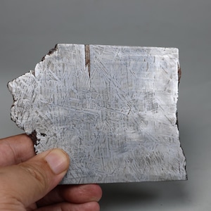 Muonionalusta meteorite part slice D6464