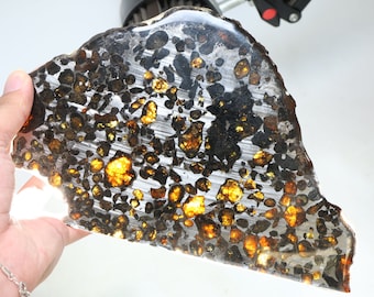Plakje pallasietmeteoriet, Keniaanse meteorietplak van 215 g, uit Kenia Sericho, meteorietcadeaus, D6256