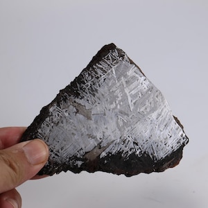 278g Muonionalusta meteorite part slice D6456