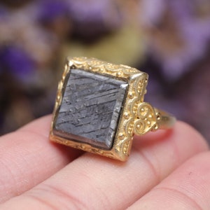 Muonionalusta meteorite Ring part slice Adjustable ring D3822