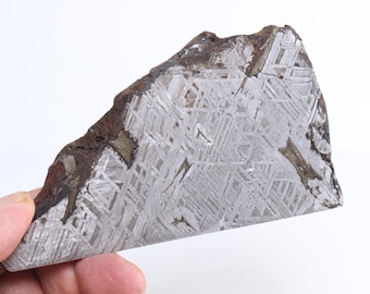 May include: A triangular slice of a meteorite, featuring a distinctive Widmanstätten pattern of intersecting lines. The outer edge is dark brown and rough, while the interior displays a silvery-gray, crystalline structure. Held against a white background.