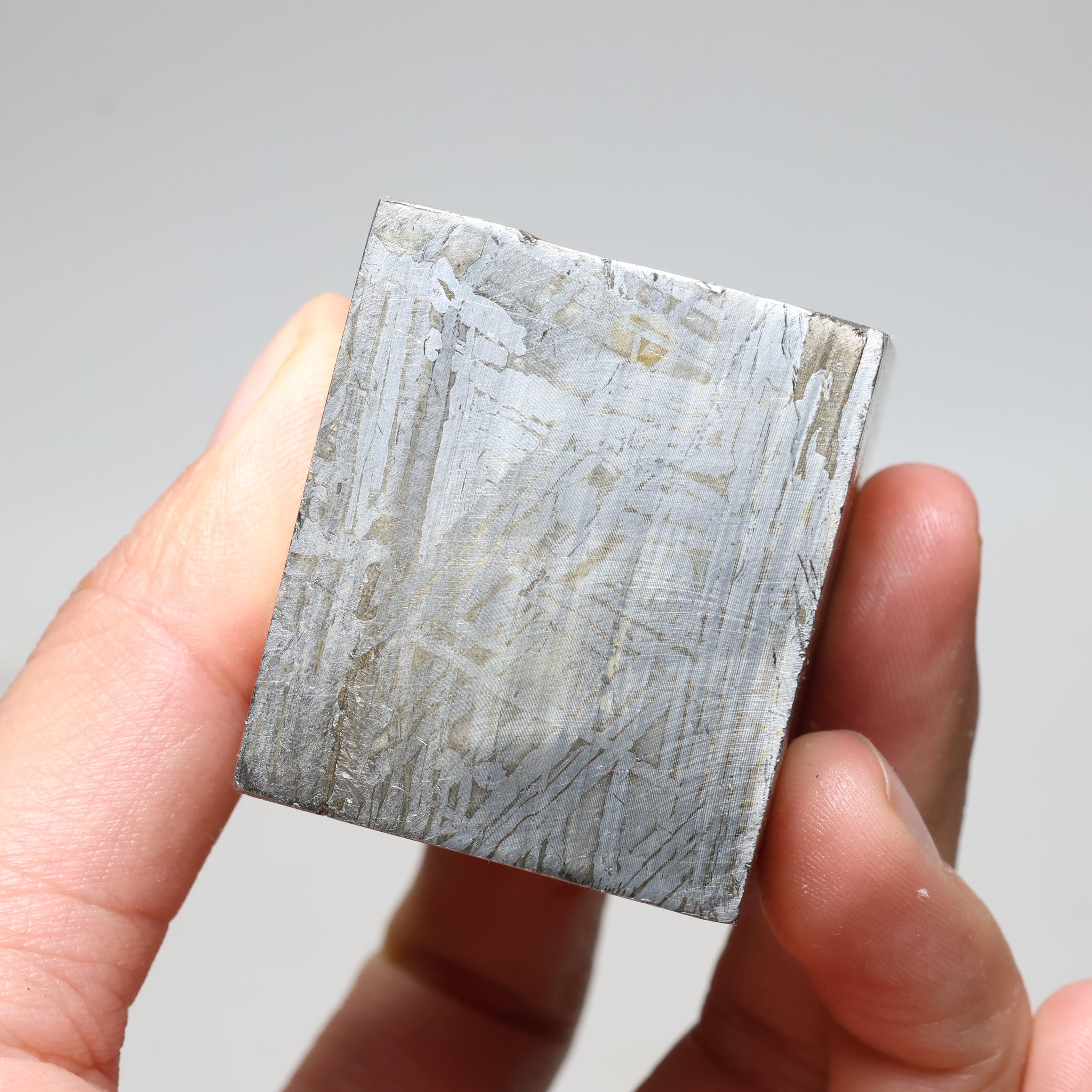 ムオニオナルスタ隕石部分スライス D5641 - Etsy 日本