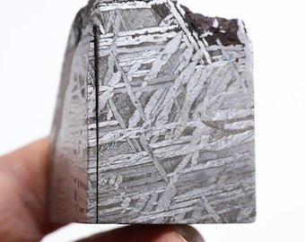 May include: A close-up of a piece of meteorite with a Widmanstätten pattern. The meteorite is a silvery-gray color and has a rough, textured surface.