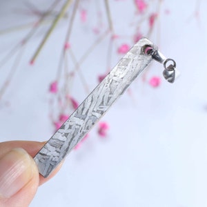Muonionalusta meteorite Necklace pendant part slice D1925