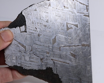 ムオニオナルスタ隕石 標本 ムオニオナルスタ隕石標本、127g スペース アイアン ギフト D6844