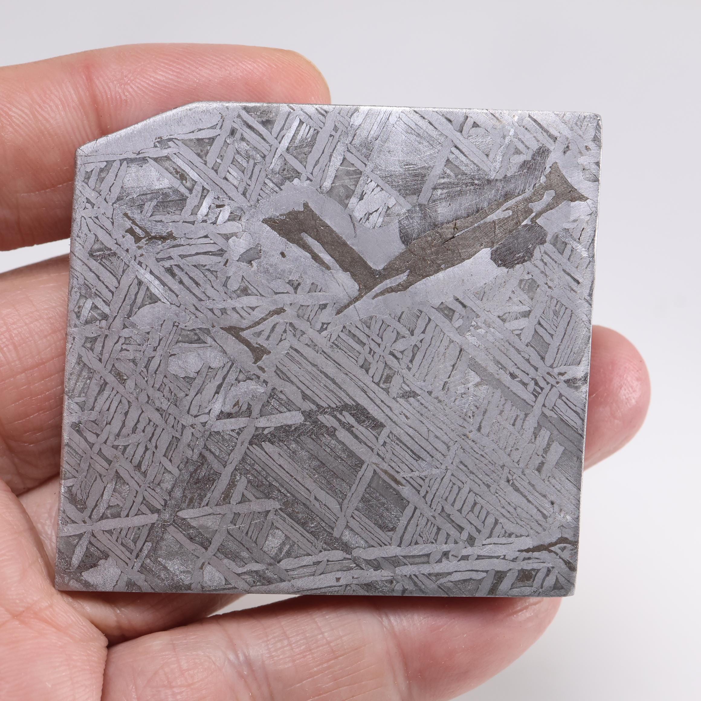 ムオニオナルスタ隕石スライス、125g宇宙鉄標本、天文学ギフト D6684