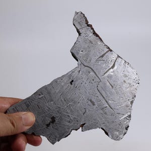 610g Muonionalusta meteorite part slice D6457
