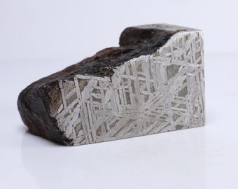 453g 鉄隕石標本、ウィドマンシュテッテン模様の宇宙ギフト D6700