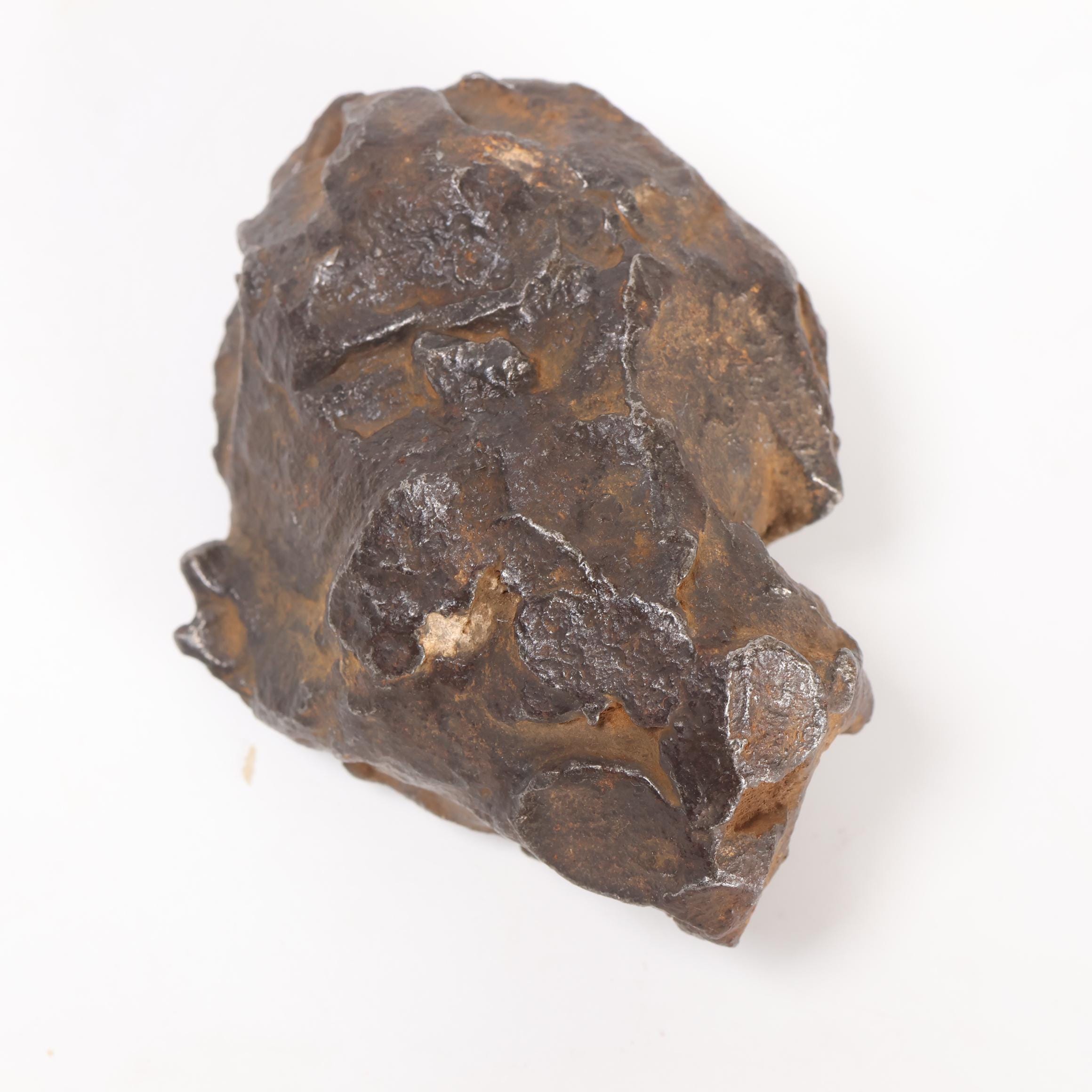 ゲベル カミル 鉄隕石 353g 隕石破片 D6605 - Etsy 日本