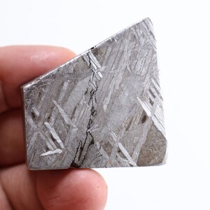 May include: A close-up of a silver-colored meteorite with a distinctive Widmanstätten pattern. The meteorite has a rough, textured surface and a dark gray streak running through it.