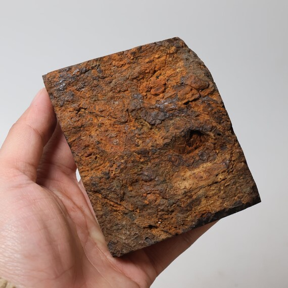 574g Muonionalusta Meteorite Part Slice D5178 - Etsy