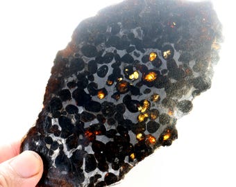 Plakje pallasietmeteoriet, Keniaanse meteorietplak van 83 g, uit Kenia Sericho, meteorietcadeaus, D6890