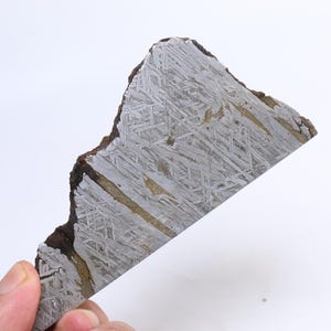 May include: A slice of a meteorite with a distinctive Widmanstätten pattern. The metallic surface features a cross-hatched design in silver and grey, with brown and gold inclusions. The rough, dark brown edge contrasts with the polished interior.