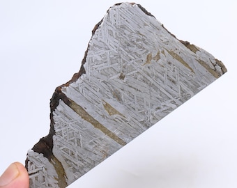 453g 鉄隕石標本、ウィドマンシュテッテン模様の宇宙ギフト D6700